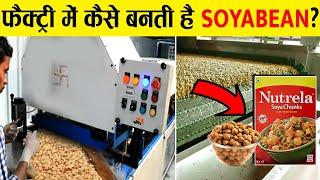 फैक्ट्री में सोयाबीन कैसे बनती हैं ? How soyabean is made in factory?