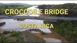 Crocodile Bridge | MUST SEE | Costa Rica