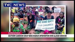 Southern Cameroon Group Seeks Nigeria's Intervention Over Alleged Genocide