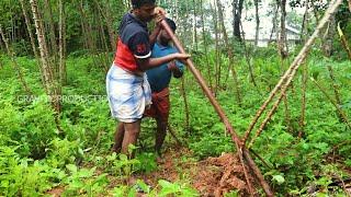 Tapioca Harvesting Tool For Easy Harvest/Cassava Harvester