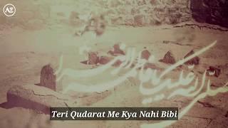 YA ZAHRA (S.A.W) || Irfan Haider || Noha Stutus With Lyrics