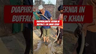Diaphragmatic hernia l Bloat l Tympani l dr Umar Khan