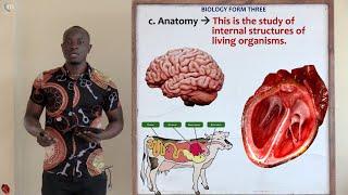 Part 1; Branches of Biology Revision