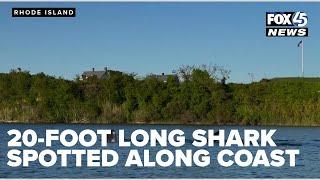 20-foot long shark spotted swimming along East Coast