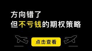 方向错了，但不亏钱的比例价差期权策略，上涨赚钱，不动亏小钱，大跌收小钱。美股期权和比特币期权入门课程，适合小白「期权第15课」