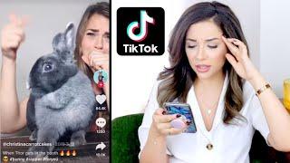 PET YOUTUBER REACTS: VIRAL RABBIT TIK TOK VIDEOS