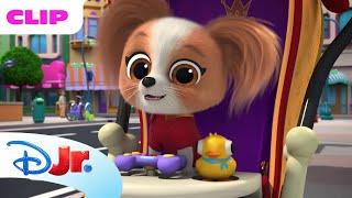 Toys Disappearing  | SuperKitties ⭐ | Disney Jr. MENA