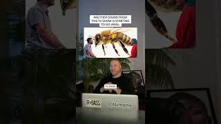 The Origin Of This Viral Sound From This TV Show: Ladybug, Ant, Cockroach #shorts