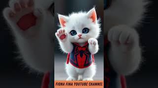 CUTE OVERLOADS  ~ CAT DANCING  