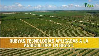 Cuales son las Nuevas Tecnologias Agricolas en Brasil- TvAgro por Juan Gonzalo Angel Restrepo