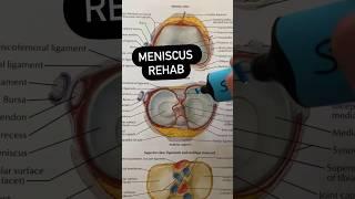 Meniscus Tear Rehab Exercises