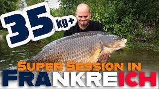 35 Kilo + | legendäre Karpfen Session in Frankreich | Großkarpfen