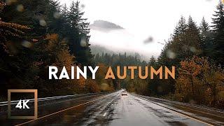 Rainy Scenic Autumn Drive in Olympic National Park - Relaxing Sounds 4K