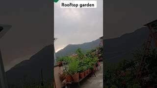 From Earth to Eden: The Most Beautiful Garden Transformations #youshorts #nature #youtube #garden