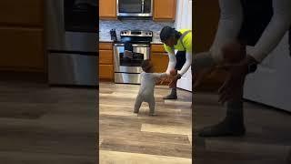 Throwback to Jaden walking for the first time #shorts #viral #mom #babies