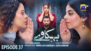 Behkaway Episode 37  [Eng Sub] - Yashma Gill - Yasir Nawaz - Hiba Ali Khan - 21st May 2025