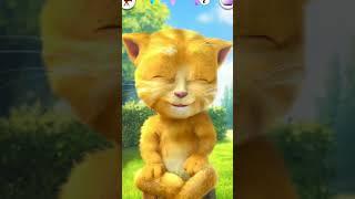 Talking Tom ️️️️ #shorts #tom #talkingtom #viralvideo#youtubeshorts