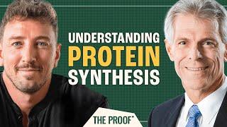 Protein Synthesis: The Science of Muscle Growth | Protein Masterclass | The Proof Clips EP #290