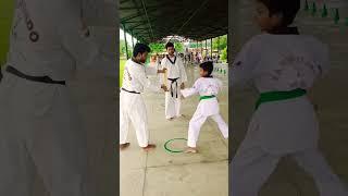 Tiles Braking by Punch belt Exam #taekwondo #shortvideo