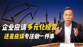 马光远：企业应该多元化经营还是专注做一件事？