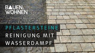 Garten: Bodenbeläge und Pflastersteine mit Wasserdampf reinigen