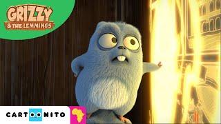 Magical Door | Grizzy & The Lemmings | Funny Compilation for Kids | Cartoonito Africa