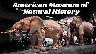 American Museum of Natural History 2024 Walkthrough| FULL Journey: Exploring Natural History& Beyond