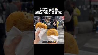 [오푸파] 선선한 날씨 ️ 호떡의 계절이 돌아왔다! #남대문맛집 #호떡맛집 #남대문호떡