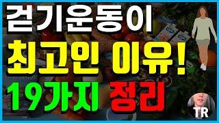 하루 11분, 걷기 운동의  19가지 놀라운 효과,  4분순삭(2021 미국보건복지부, 세계보건기구 발표자료, 건강,다이어트를 위한다면 한번쯤은 꼭 보세요~! )