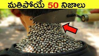 Top 50 Facts In Telugu | Amazing & Unknown Facts | Interesting Facts In Telugu | Ep - 9 | RAR Facts