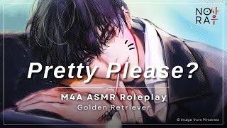 Coming Home to Your Golden Retriever Boyfriend [M4A] [Dorky] [Clingy] [Personal Attention] ASMR