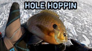 Hole Hopping for BIG Bluegill!! (January ice fishing 2025)