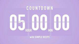 5 Hours Countdown Flip Clock Timer / Simple Beeps 🫐 