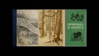 Биабан-гули | Константин Сатунин | Природа и охота. 1899. Книга 7