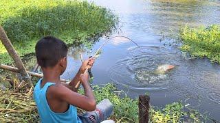 Amazing Village Smart Boy Fishing With Hook ~ Traditional Hook Fishing ~ Рыбалка Видео