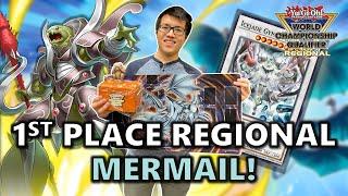 FIRST PLACE UNDEFEATED Toronto Regional Mermail Deck Profile Ft. Chris Mark! | Post ROTA | Oct 2024