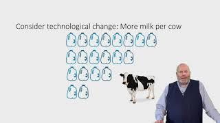 The Dairy Supply Chain