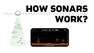 Everything You Need to Know About How Sonars Work