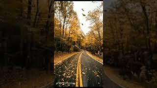 Rain- Falling on Autumn season || Best Hd view ||