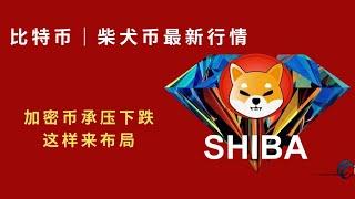 比特币 BTC shib 柴犬币 区块链 加密货币 最新行情走势分析，加密币承压下跌，这样来布局