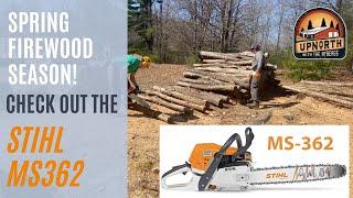 I Cut Firewood With My New Stihl MS 362 Chainsaw - Check It Out!