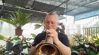 DID'NT WE ALMOST HAVE IT ALL- Whitney Houston (Flugelhorn) cover by Edison Bartolay