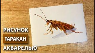 Как нарисовать таракана карандашом и акварелью начинающим | Рисунок для детей