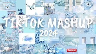 Tiktok Mashup June 2024 (Not Clean)