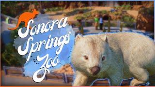 Adorable Wombat Burrow Habitat! | Sonora Springs Zoo