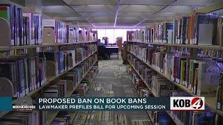 New Mexico lawmaker pre-files bill to ban book bans