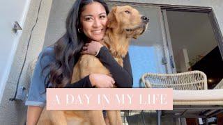 A DAY IN MY LIFE WITH MY GOLDEN RETRIEVER PUPPY