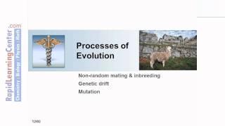 Rapid Learning: Evolution - What is Evolution?