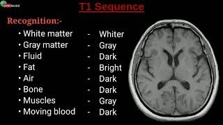 MRI Sequences  || Radiology Buzz