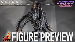 Hot Toys Alien Romulus Scorched Xenomorph - Figure Preview Episode 333